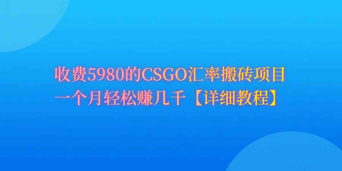 （9776期）CSGO装备搬砖，月综合收益率高达60%，你也可以！-必富网创