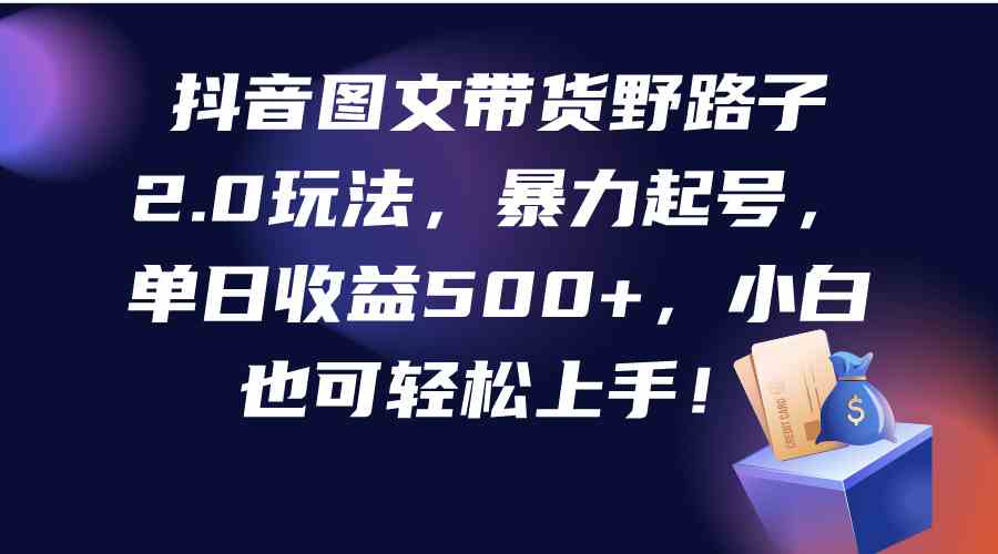 （9790期）抖音图文带货野路子2.0玩法，暴力起号，单日收益500+，小白也可轻松上手！-必富网创