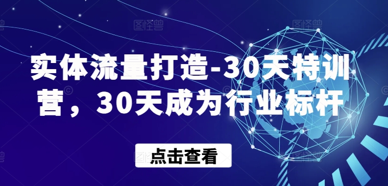 实体流量打造-30天特训营，30天成为行业标杆-必富网创