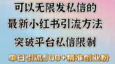 最新“摆烂式”引流打法，小红书私信引流，单天引流100+-必富网创
