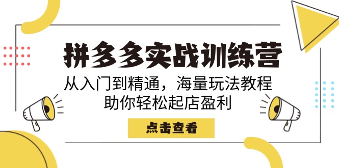 （14392期）拼多多实战训练营，从入门到精通，海量玩法教程，助你轻松起店盈利-必富网创