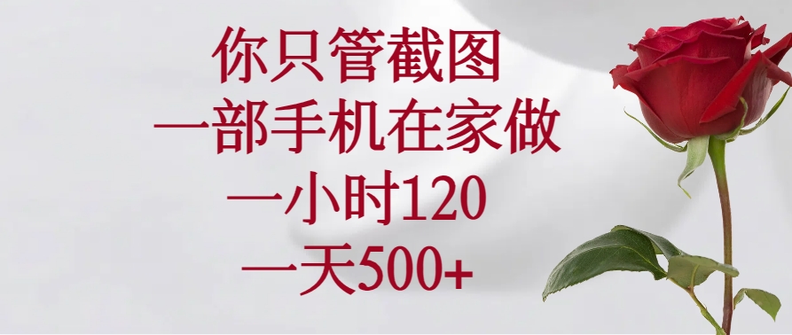（14248期）你只管截图，一部手机在家做，一小时120，一天500+-必富网创