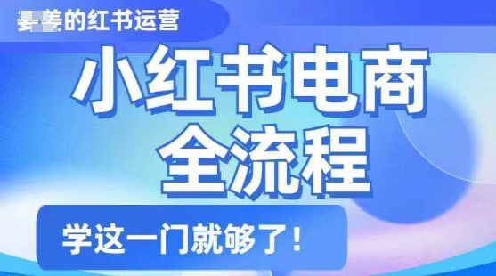 小红书电商全流程，精简易懂，从入门到精通，学这一门就够了-必富网创