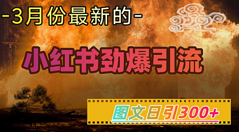 小红书超劲爆引流手段，图文日引300+轻松变现1W-必富网创