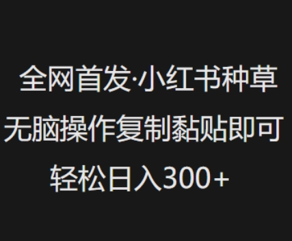 全网首发，小红书种草无脑操作，复制黏贴即可，轻松日入3张-必富网创