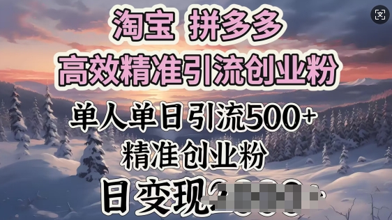 淘宝拼多多高效精准引流创业粉，单人单日引流500+创业粉，日变现多张-必富网创