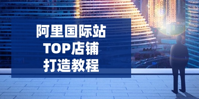 （14269期）阿里国际站TOP店铺打造教程：涵盖平台到高阶，解决运营难题，提升询盘-必富网创