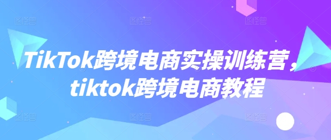 TikTok跨境电商实操训练营，tiktok跨境电商教程-必富网创