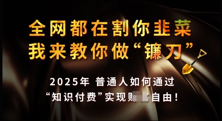 知识付费如何做到月入过W+，2025我来教你做“镰刀”【揭秘】-必富网创