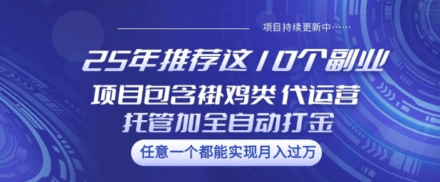 25年推荐这10个副业项目包含褂鸡类、代运营托管类、全自动打金类【揭秘】-必富网创
