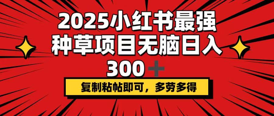 （14375期）2025小红书最强种草项目，无脑日入300+，复制粘帖即可，多劳多得-必富网创