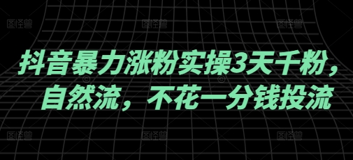 抖音暴力涨粉实操3天千粉，自然流，不花一分钱投流，实操经验分享-必富网创