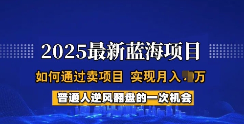 2025蓝海项目，普通人如何通过卖项目，实现月入过W，全过程【揭秘】-必富网创