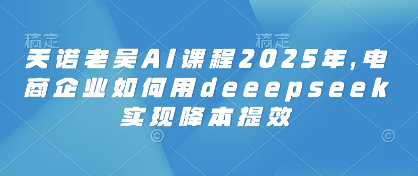 天诺老吴AI课程2025年，电商企业如何用deeepseek实现降本提效-必富网创