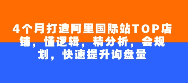 4个月打造阿里国际站TOP店铺，懂逻辑，精分析，会规划，快速提升询盘量-必富网创