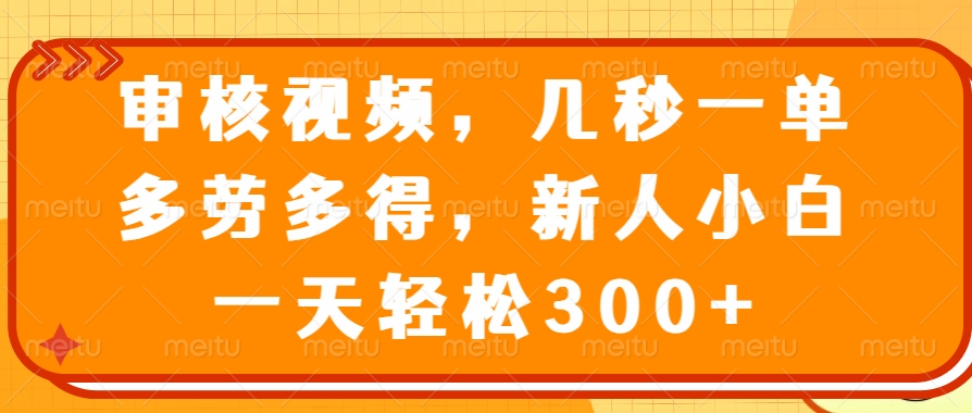（14294期）审核视频，几秒一单，多劳多得，新人小白一天轻松300+-必富网创