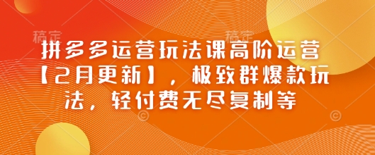 拼多多运营玩法课高阶运营【2月更新】，极致群爆款玩法，轻付费无尽复制等-必富网创