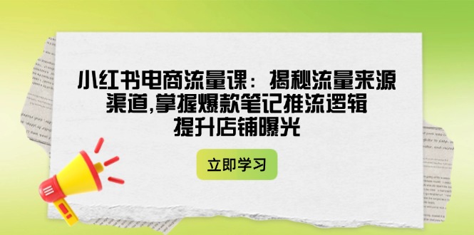 （14318期）小红书电商流量课：揭秘流量来源渠道,掌握爆款笔记推流逻辑,提升店铺曝光-必富网创
