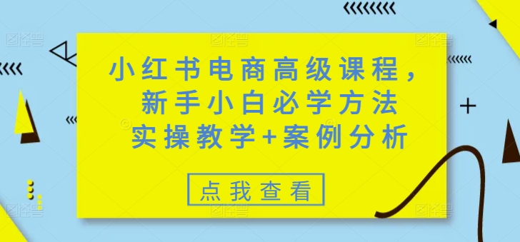 小红书电商高级课程，新手小白必学方法，实操教学+案例分析-必富网创