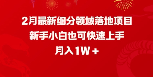 2月最新细分领域落地项目，新手小白也可快速上手，月入1W-必富网创