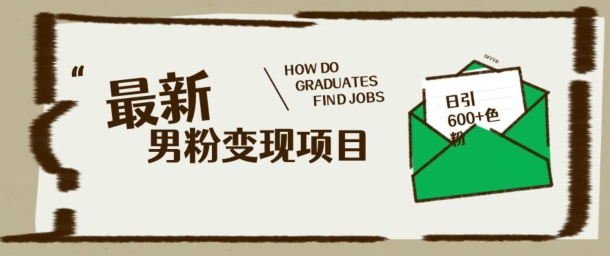 最新男粉变现项目，日引100+S粉，流量爆炸，小白轻松上手-必富网创