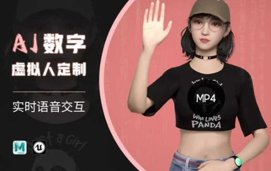 Ai数字人虚拟(智能体)实时语音交互特训营，​自行定制超写实角色AI数字人交互技术-必富网创