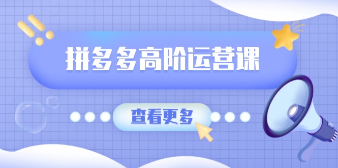 （14327期）拼多多高阶运营课：极致群爆款玩法，轻付费无尽复制，打造单品爆款之路-必富网创