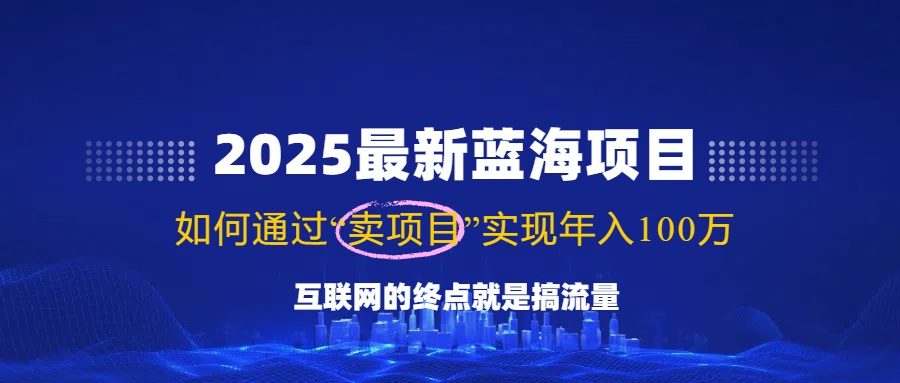 （14305期）2025最新蓝海项目，零门槛轻松复制，月入10万+，新手也能操作！-必富网创